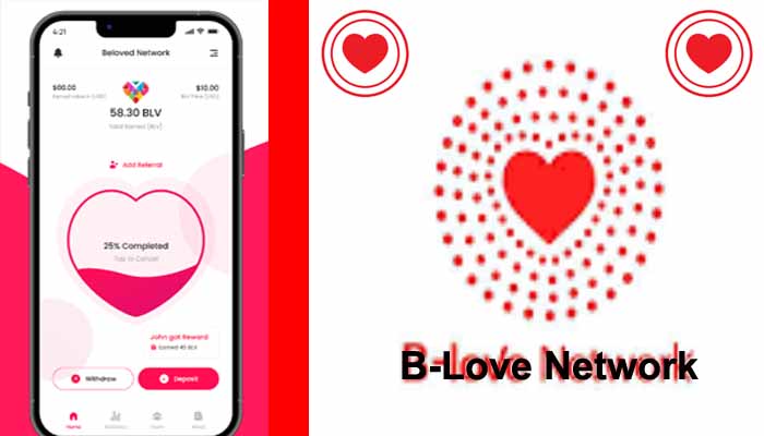  What is B-Love Network & How to earn Money in B-love Network