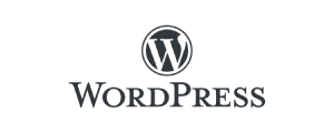 Wordpress technology by Smile IT Solutions